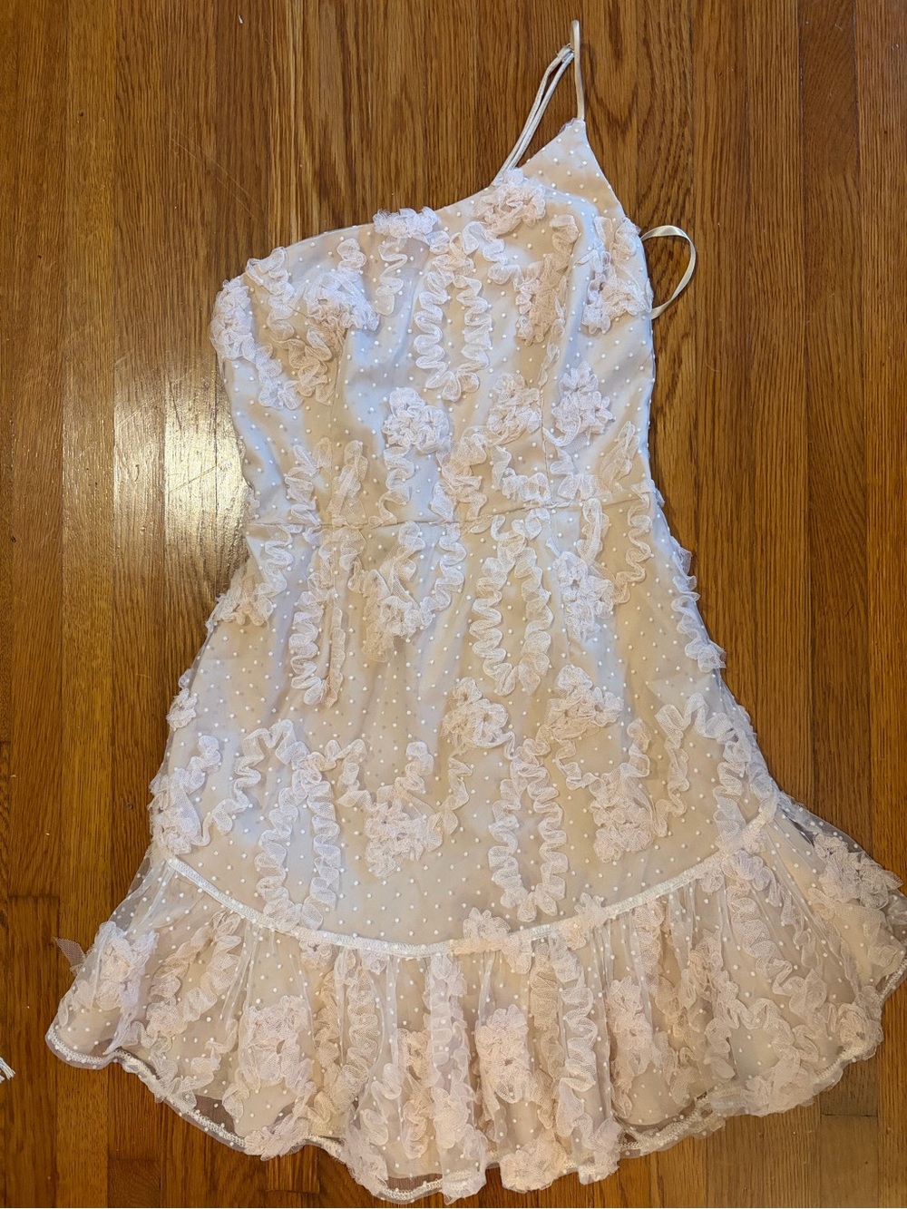 Hello Molly Blush Cream Ruffled Lace Mini Dress